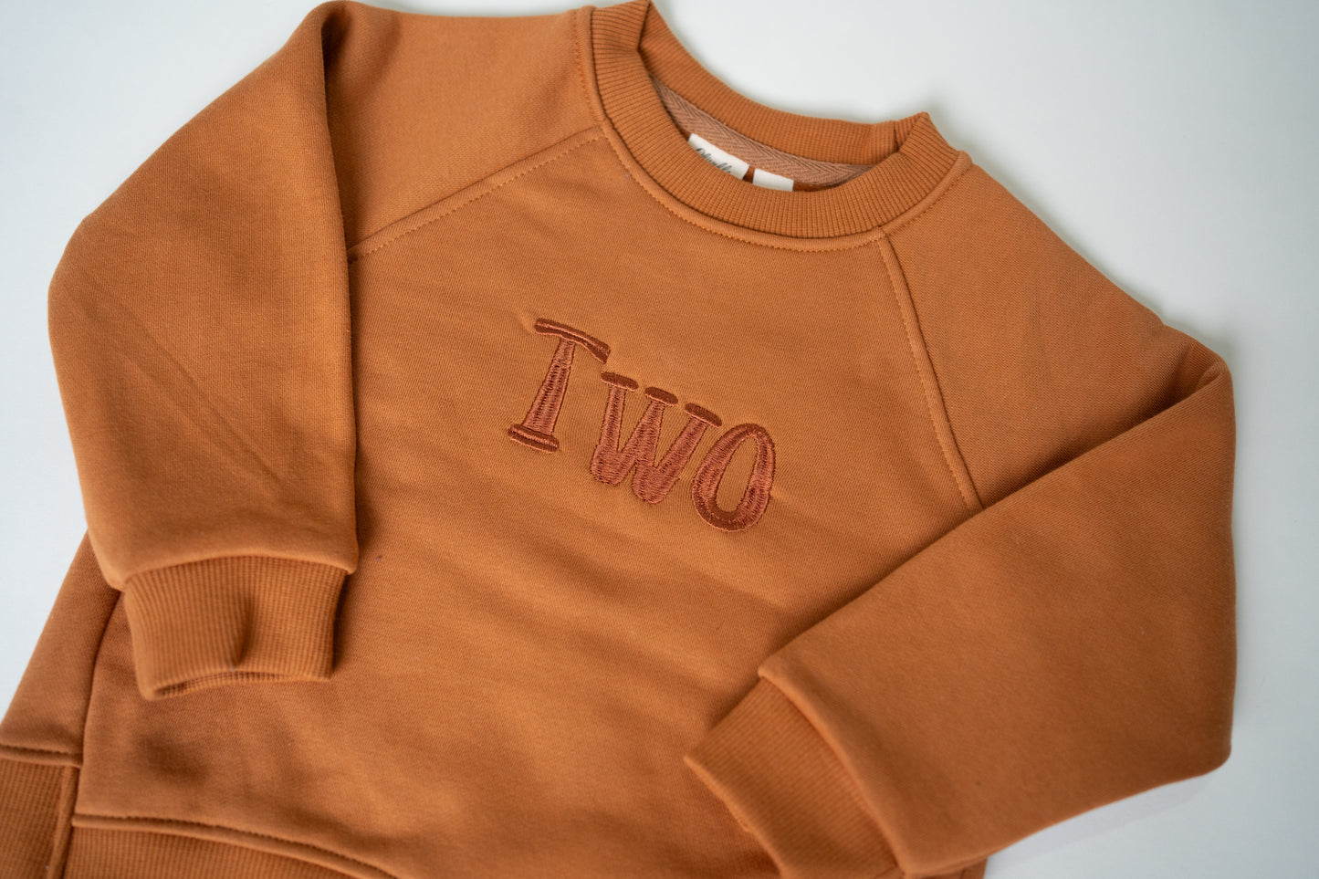 Embroidered Relaxed Sweatshirt Kids | Rust